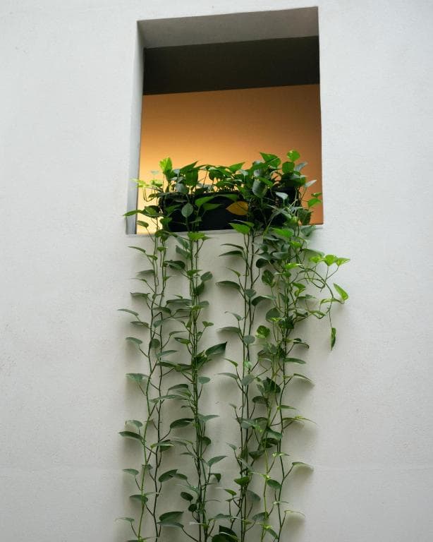 Hotel Ramblas Internacional - 12