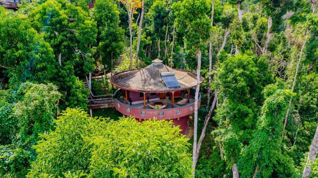 Hotel Atremaru Jungle Retreat - 34