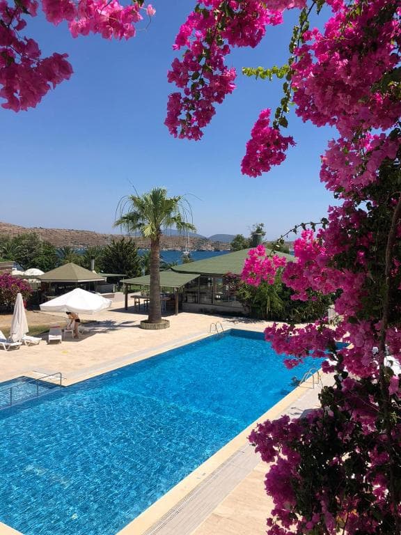 Hotel Gumbet Cove - 3