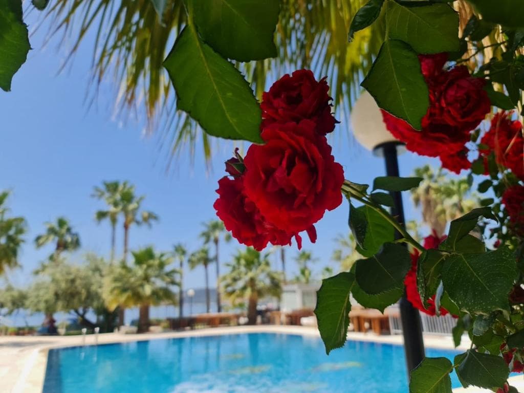Hotel Nagi Beach - 40