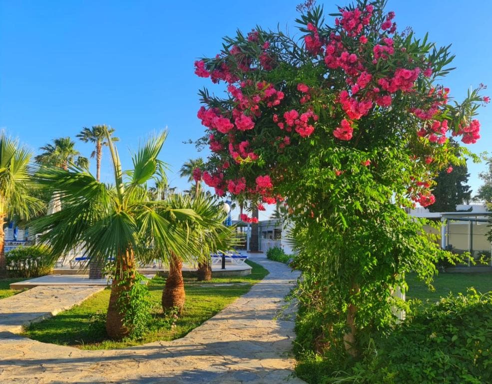 Hotel Nagi Beach - 45