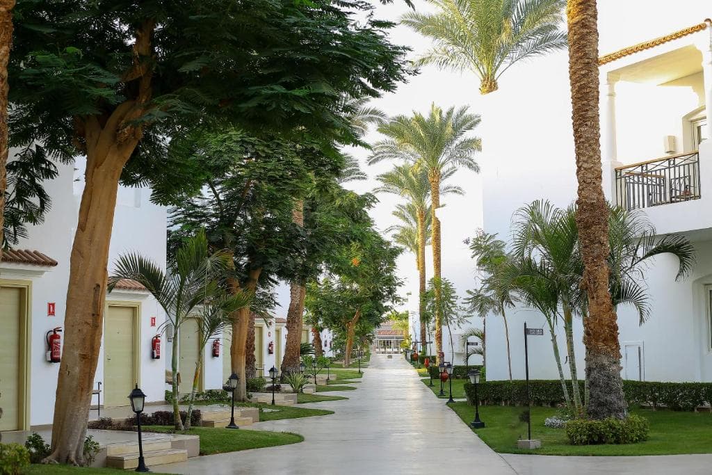 Jaz Fanara Resort & Residence - 45
