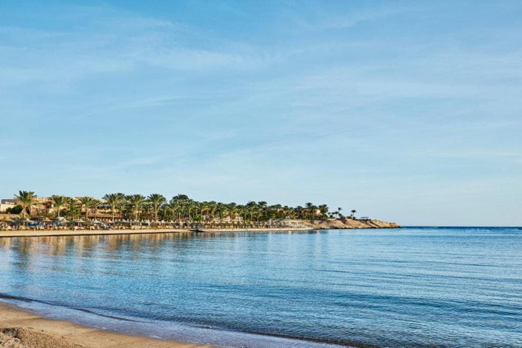 Steigenberger Coraya Beach (Adults Only 16+) - 40