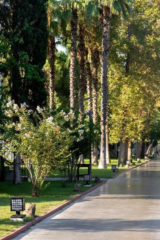 Charter Antalya - Hotel Sherwood Exclusive - 42