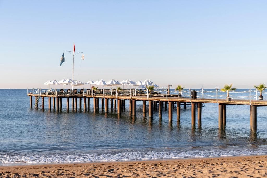 Sherwood Exclusive Lara (ex Sherwood Breezes) - 15