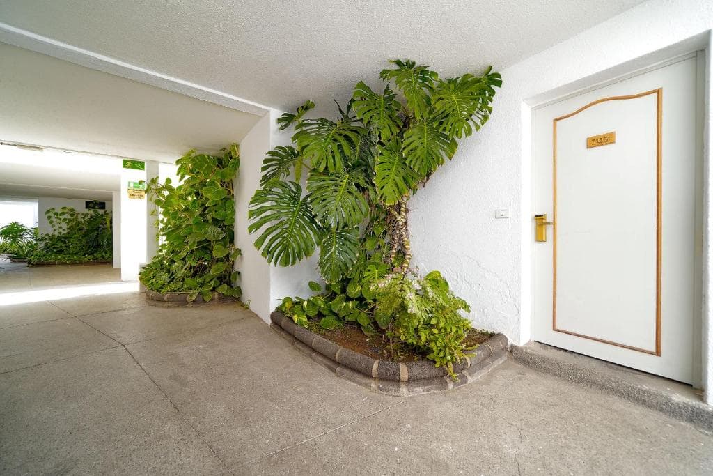 Rio Piedras Apartments - 20