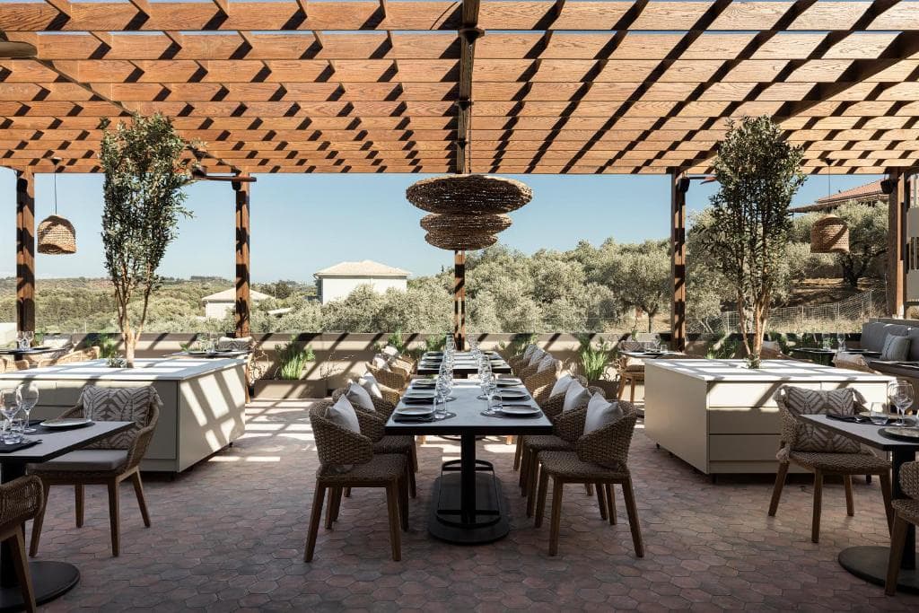 King Jason Zante – Designed for Adults - 30