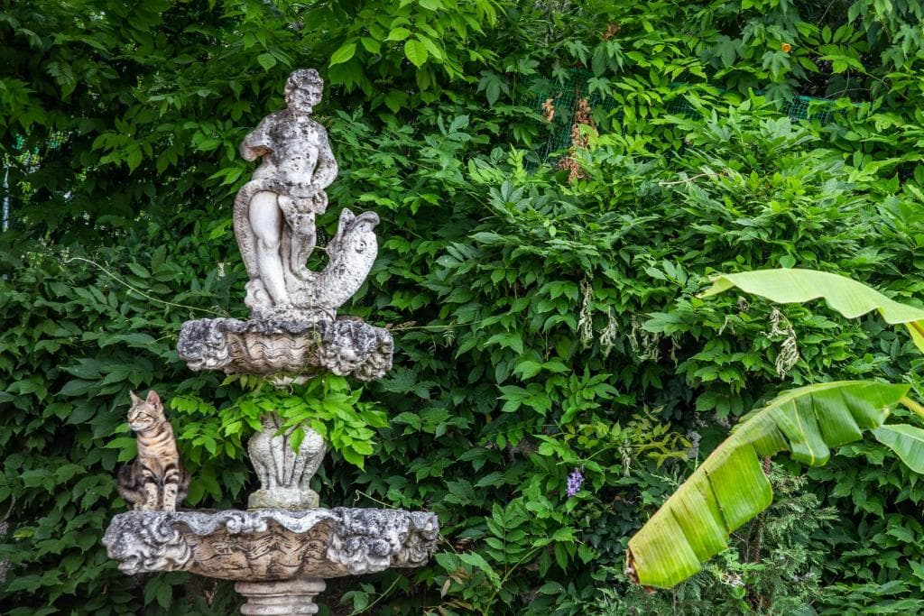 Victoria Hill Hotel - 14