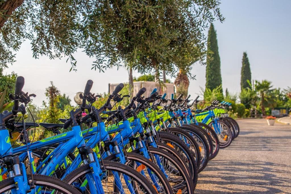 Victoria Hill Hotel - 37