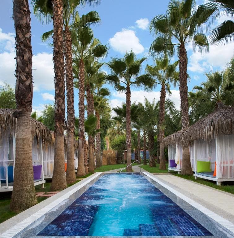 Charter Antalya - Hotel DELPHIN DELUXE - 45