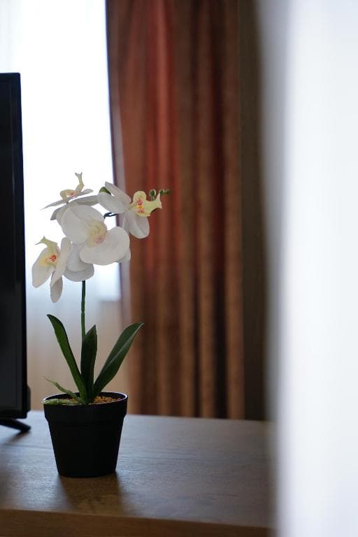 Doanesia Premium Hotel & Spa - 29