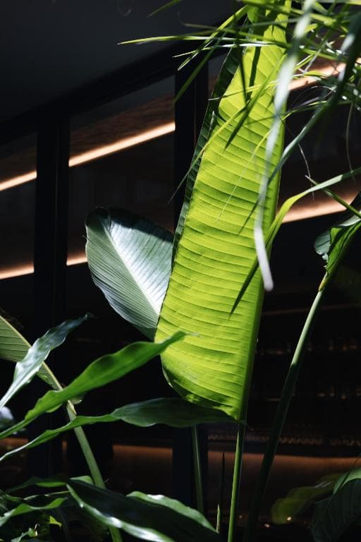 Grand Duka Hotel & SPA - 12