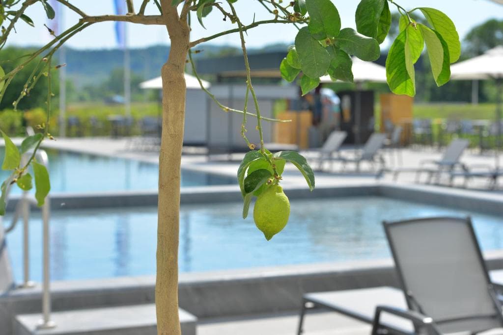 Hotel MK Tirana - 33