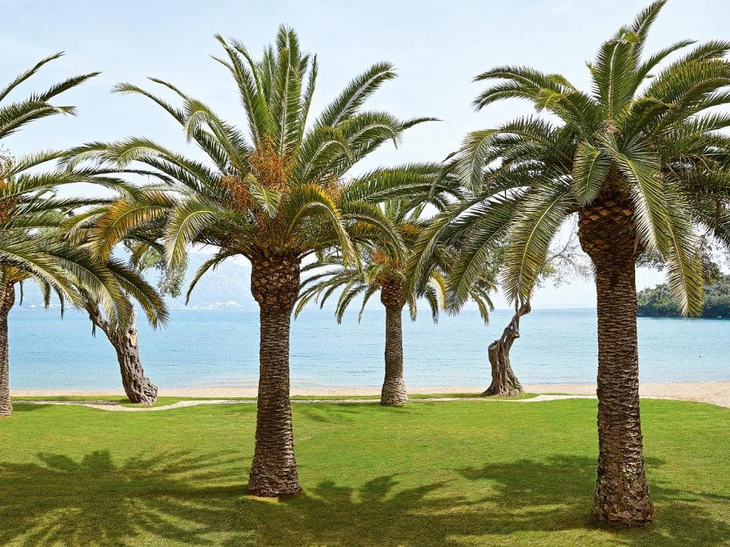 Hotel Grecotel Daphnila Bay - 9