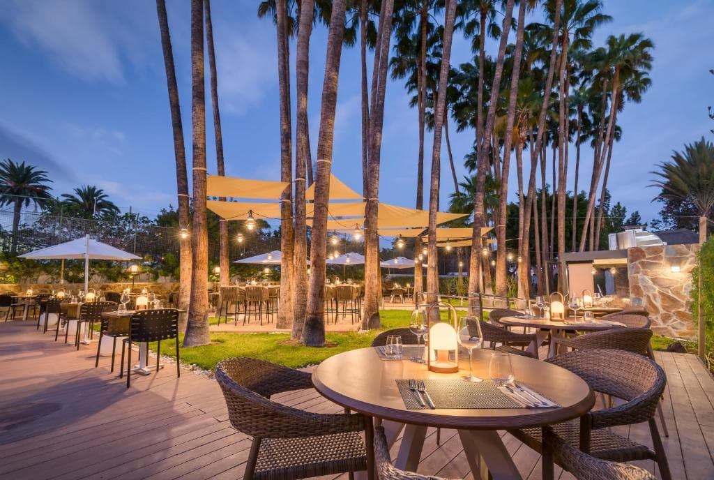 Barcelo Margaritas Royal Level Adults Only - 11